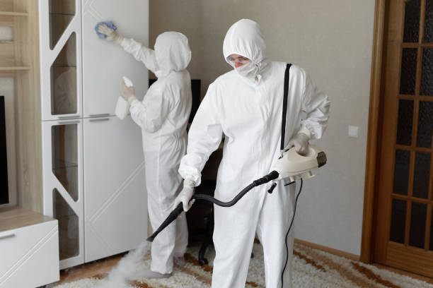 Best Toxic Mold Removal  in Colony Rk, PA